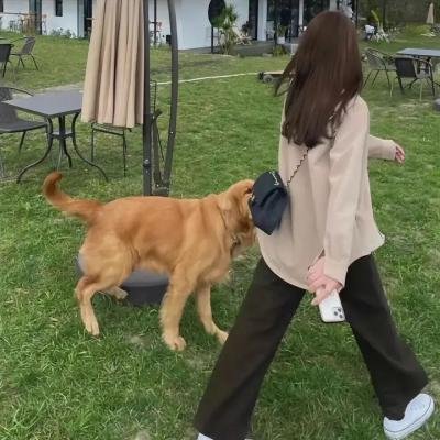 无良医生：爱里藏刀